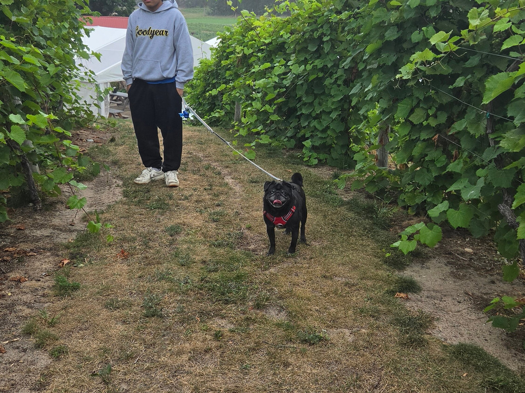 Pond Hill Farm Winery-Harbor Springs必去景点