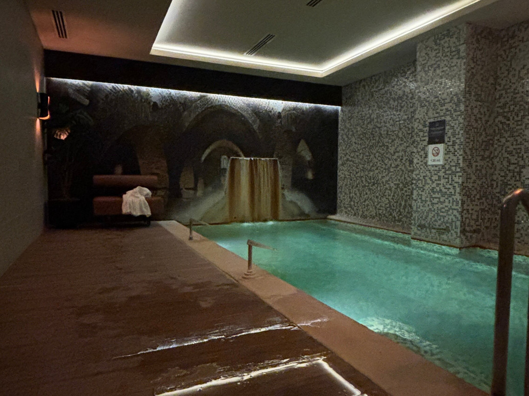 阿尔米拉酒店 - 温泉水疗与会议中心主图