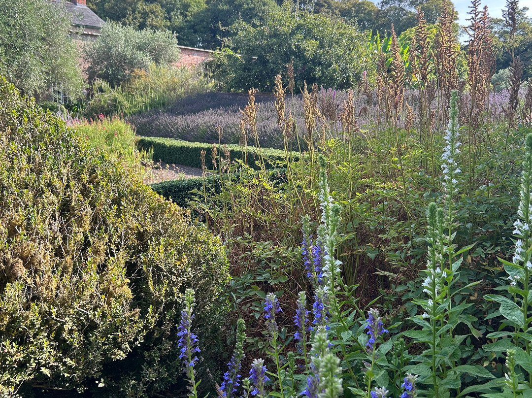 Trengwainton Garden-彭赞斯必去景点