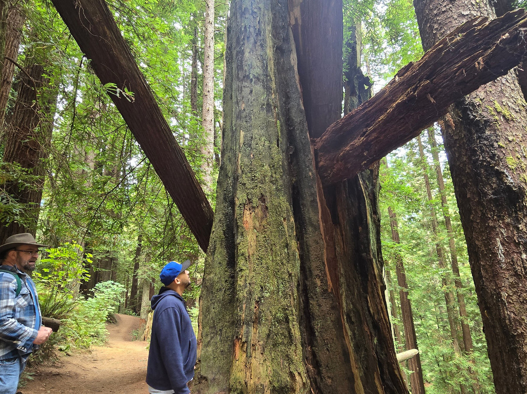 Wildtrail Tours-Arcata必去景点