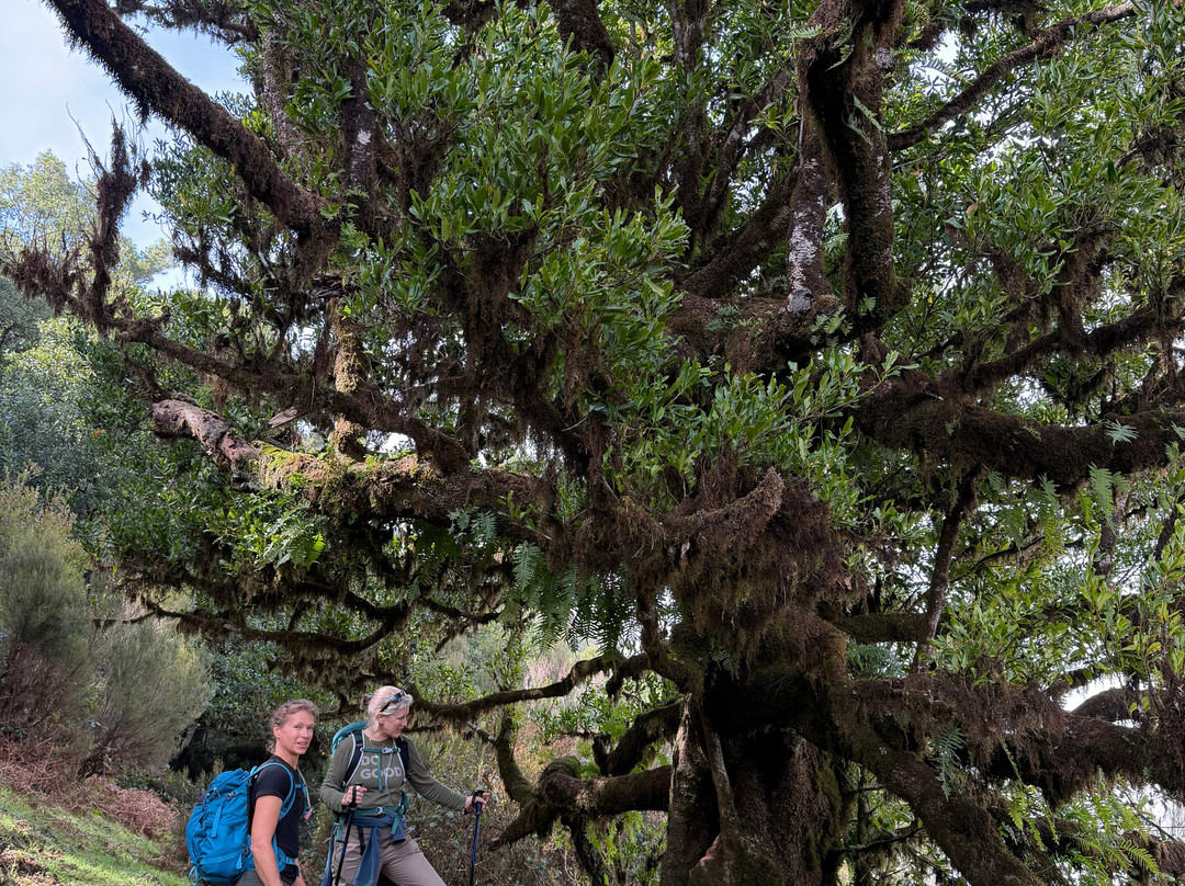 Portugal Nature Trails-辛特拉必去景点