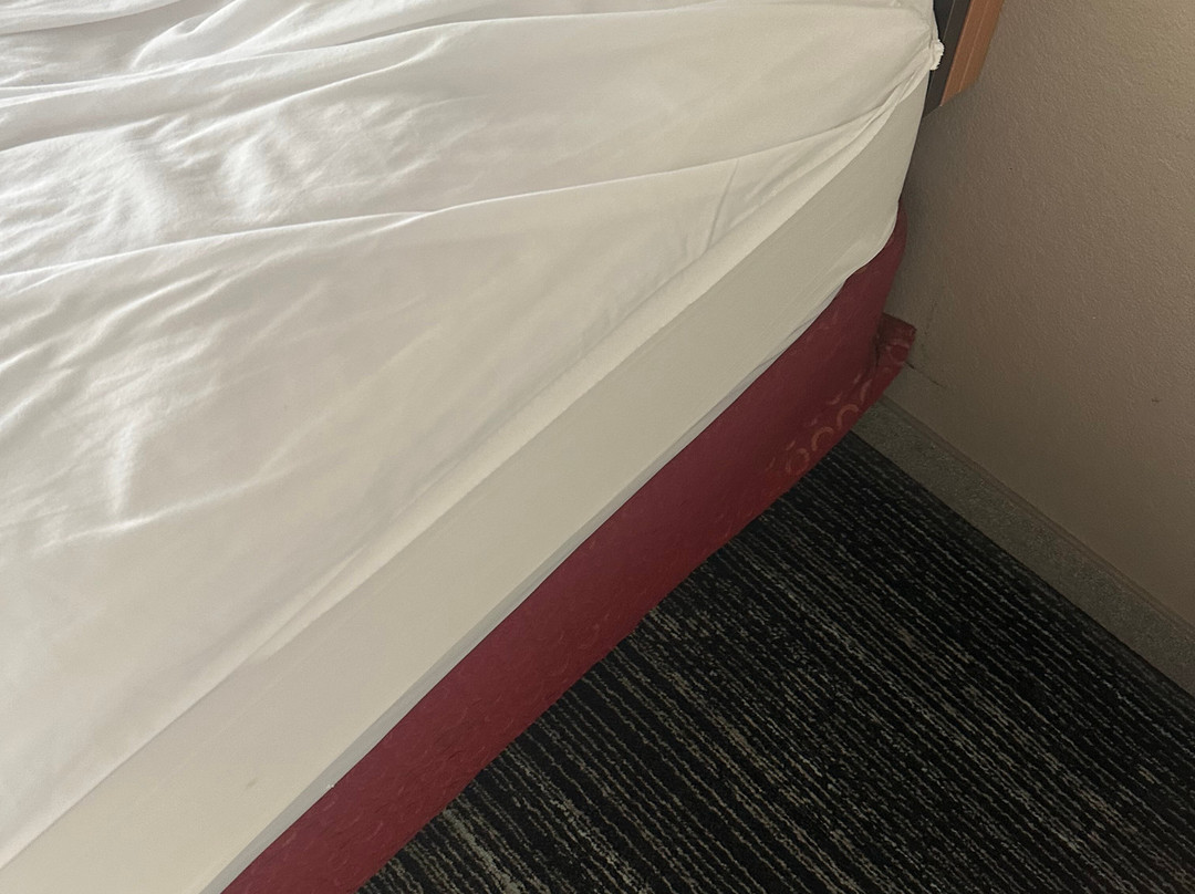 艾肯威士忌路万豪TownePlace Suites 酒店主图