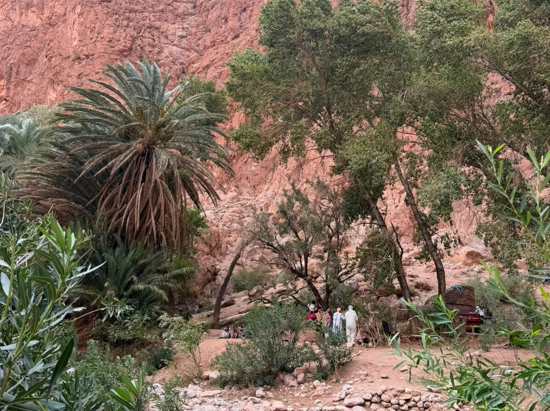 Moroccan Guides Travel-马拉喀什必去景点