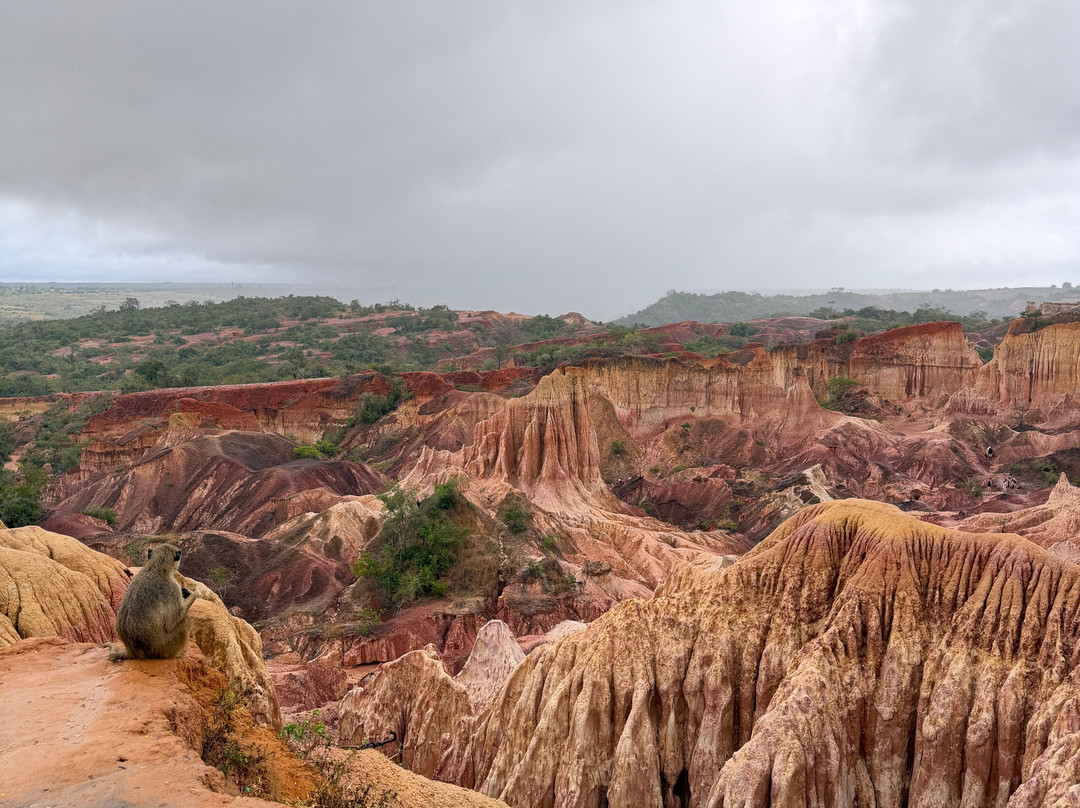 Gattokko - Safari e Tours in Kenya-瓦塔木必去景点
