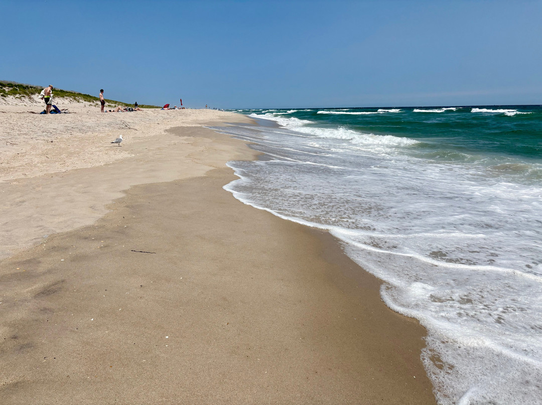 Robert Moses State Park-Fire Island必去景点