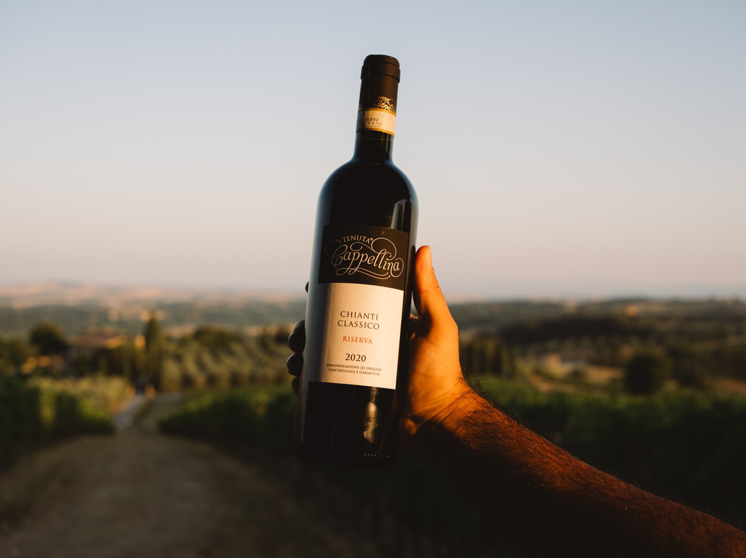 Tenuta Cappellina