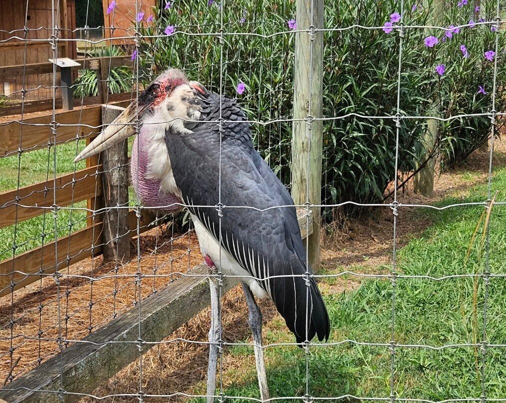 Georgia Untamed Zoo-Hogansville必去景点