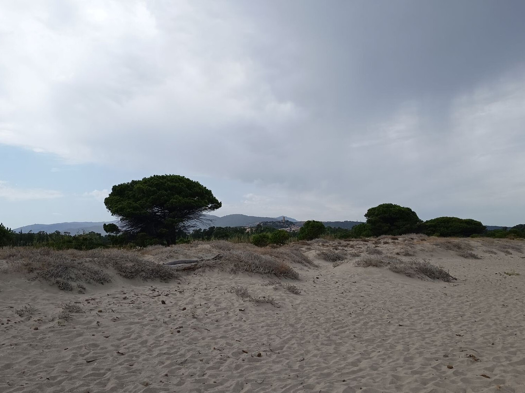 Spiaggia di Su Tiriarzu-Posada必去景点