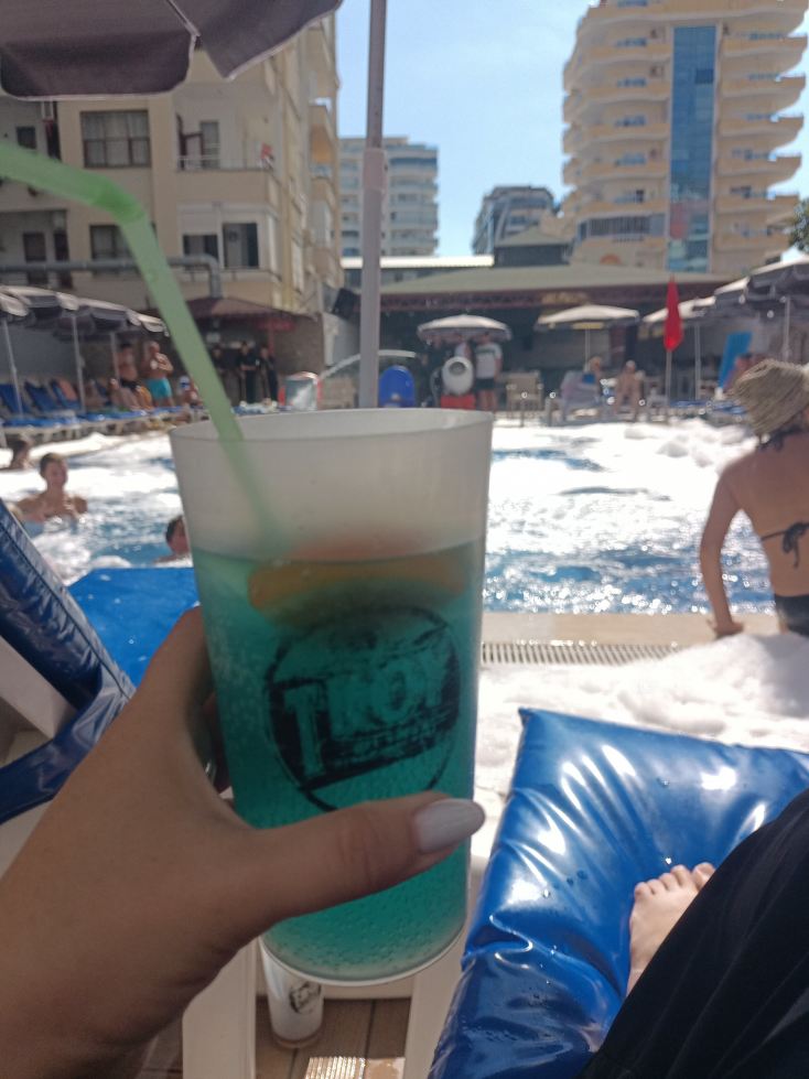 芭莉丝刊酒店-旅行者