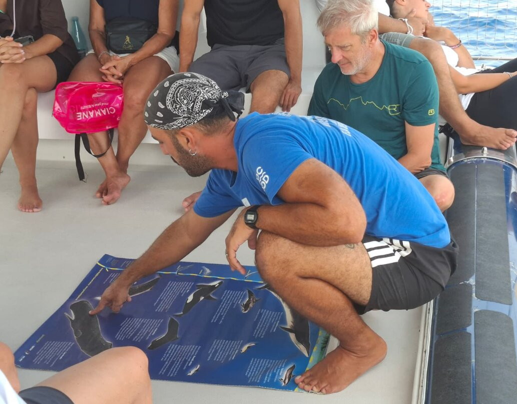 Jonian Dolphin Conservation-塔兰托必去景点