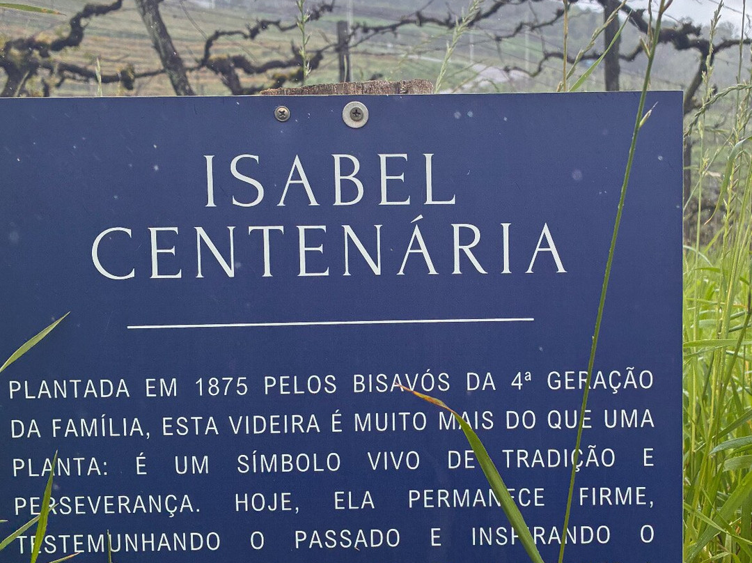 Vinicola Dom Cândido-本图贡萨尔维斯必去景点