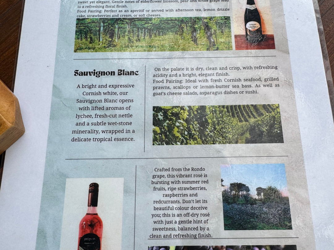 Polgoon Vineyard-彭赞斯必去景点