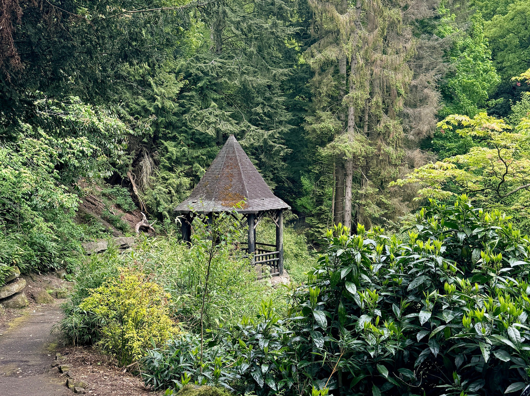 Pittencrieff Park-丹弗姆林必去景点