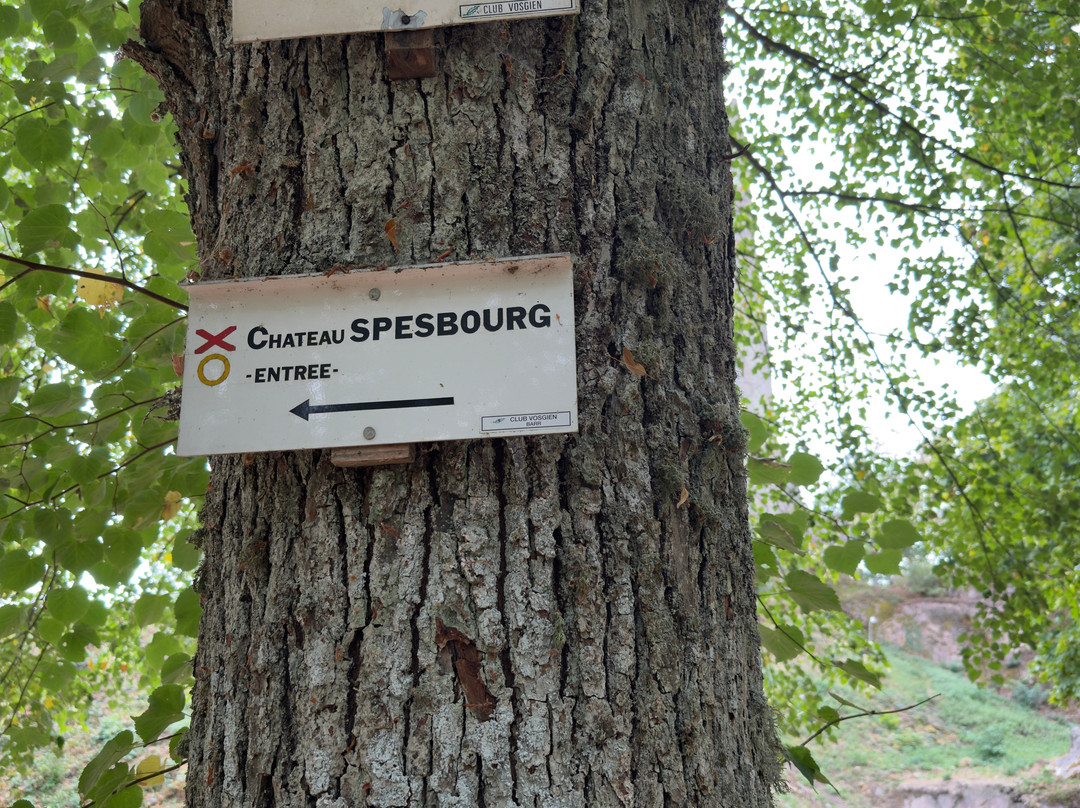Château du Spesbourg-昂德洛必去景点