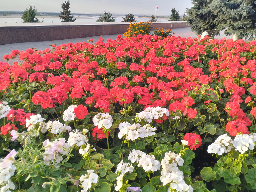 State Historical and Memorial Preserve The Battle of Stalingrad-伏尔加格勒必去景点