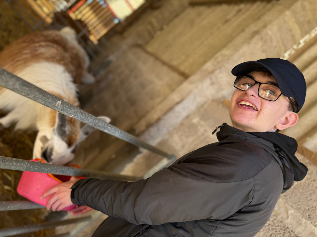 Alpaca Days Out-埃尔金必去景点