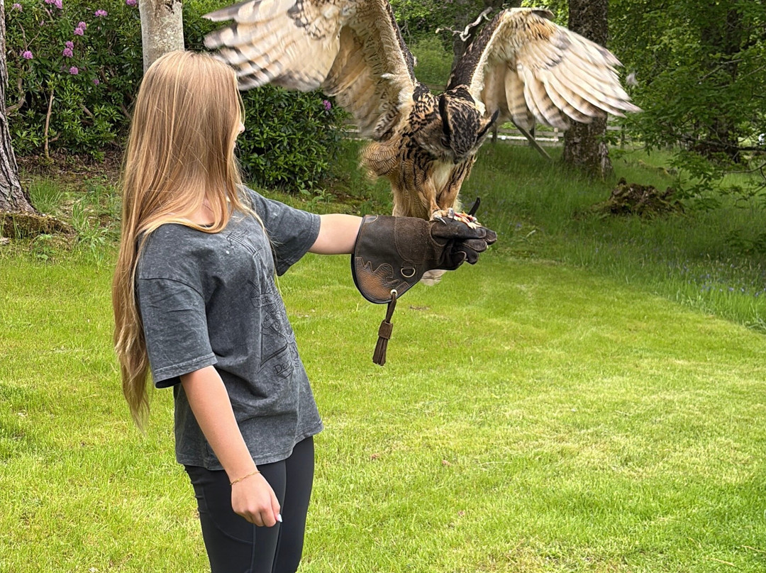 Shieldaig Falconry-盖尔洛赫必去景点