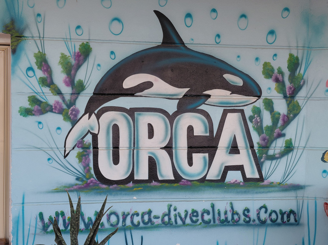 ORCA Dive Club Coral Garden