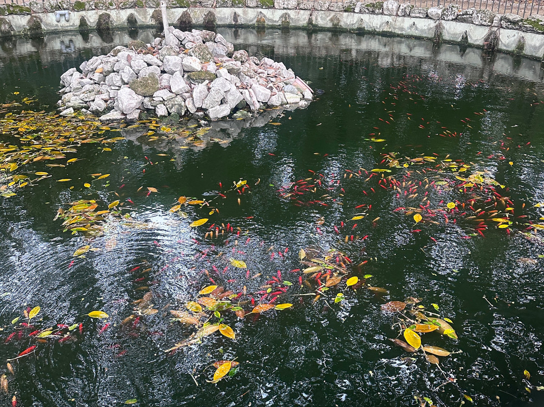 Giardino Garibaldi-巴勒莫必去景点