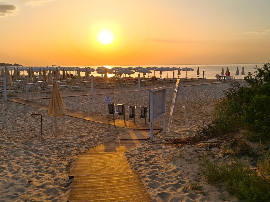 Marina Rey Beach Resort主图