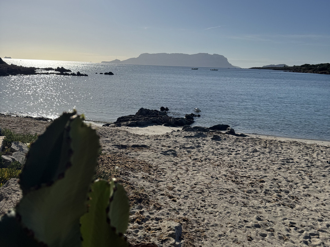 Spiaggia di Terrata Golfo Aranci-Golfo Aranci必去景点