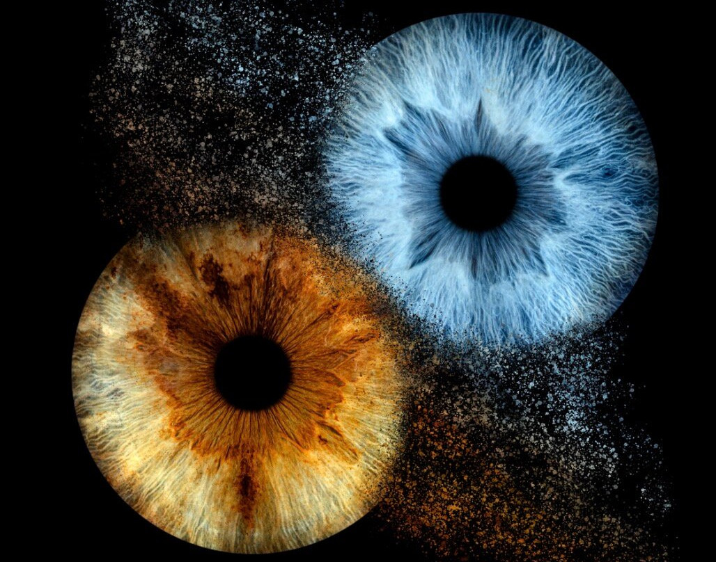 Iris Galerie Gent