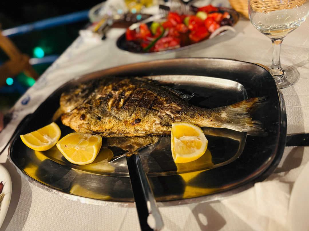 Lianni Ammos