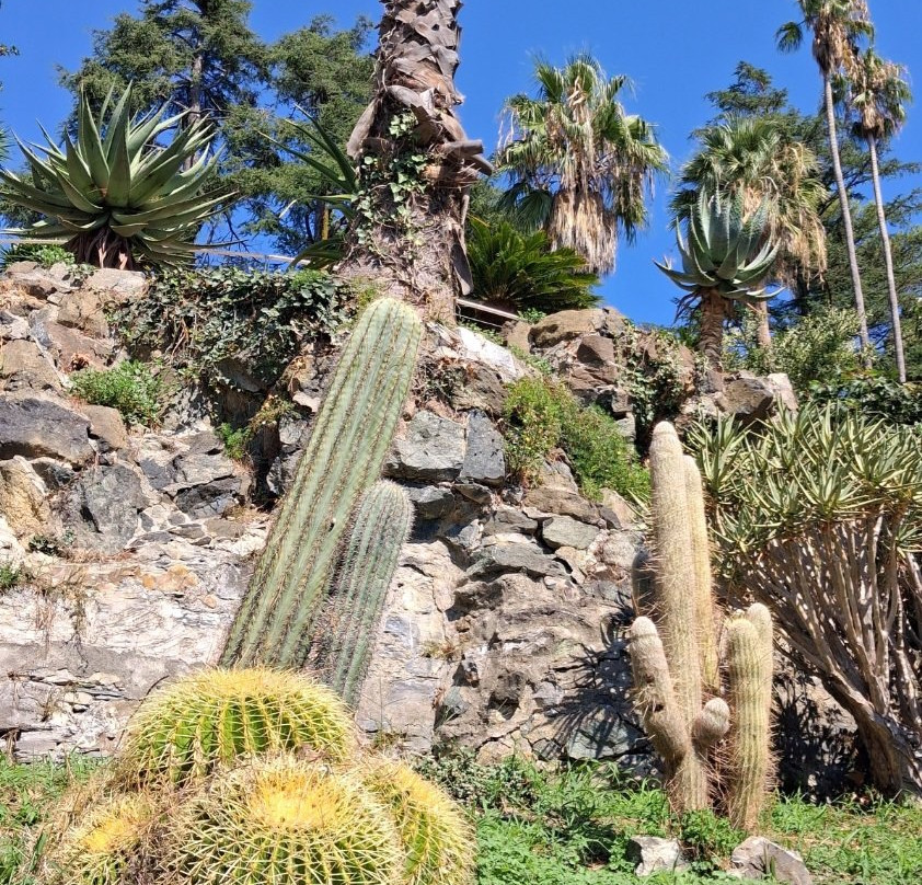 Parco Botanico Villa Rocca-基亚瓦里必去景点