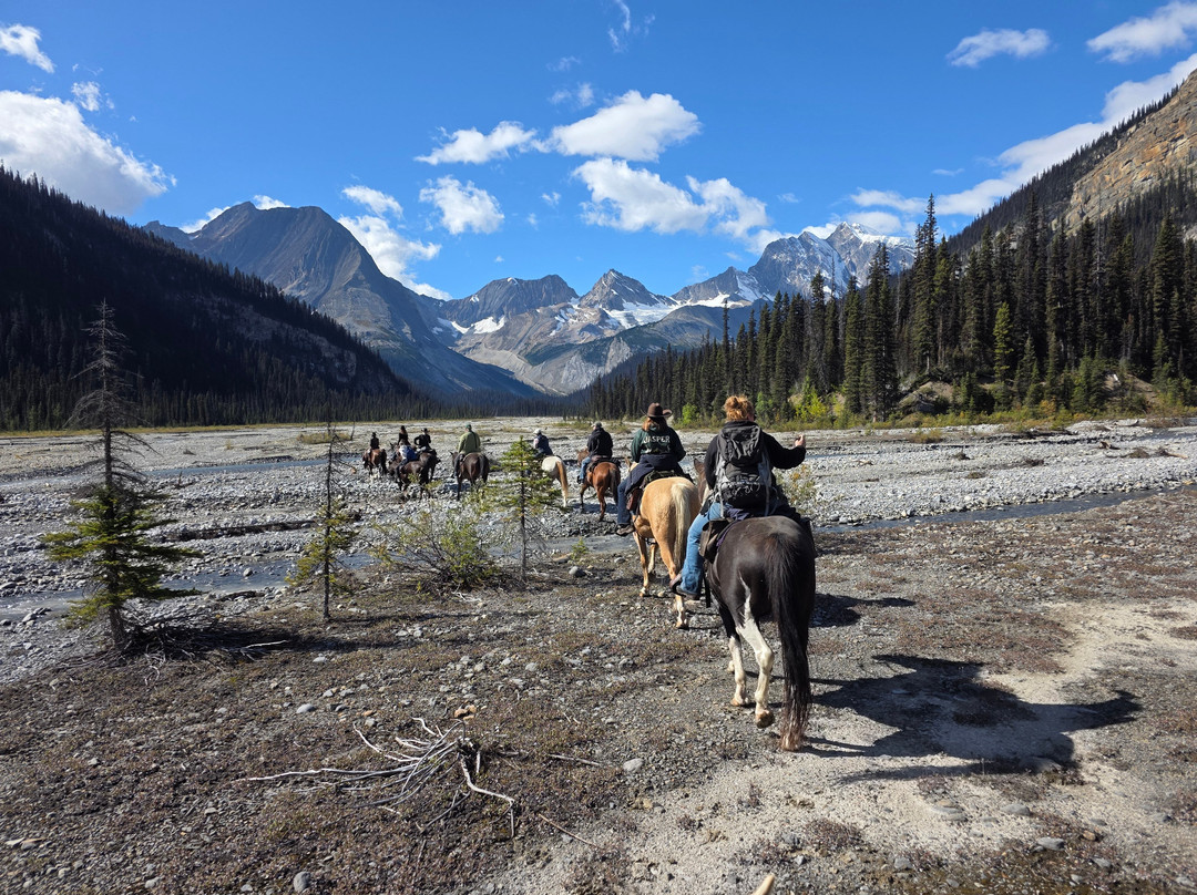 Cowgirl Up Adventures-Tete Jaune Cache必去景点