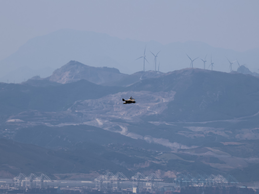 Birding The Strait-塔里法必去景点
