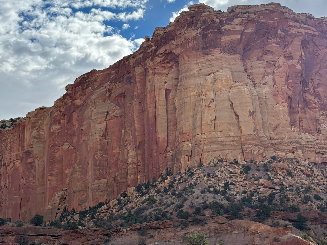 Capitol Gorge Trail-圆顶礁国家公园必去景点