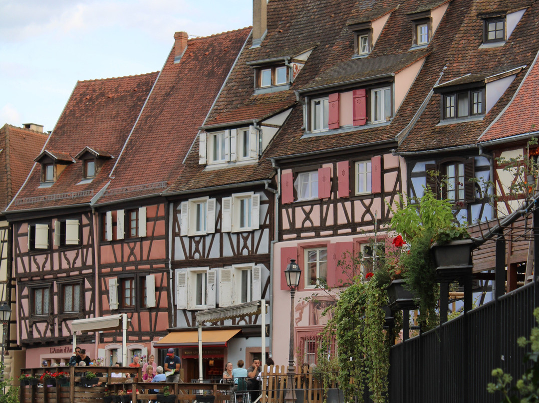 Barque Colmar "au fil de l’eau" - Sweet Narcisse-科尔马必去景点