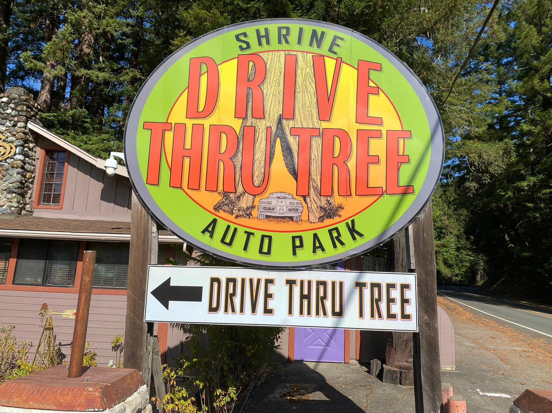 Shrine Drive-Through Tree-Myers Flat必去景点