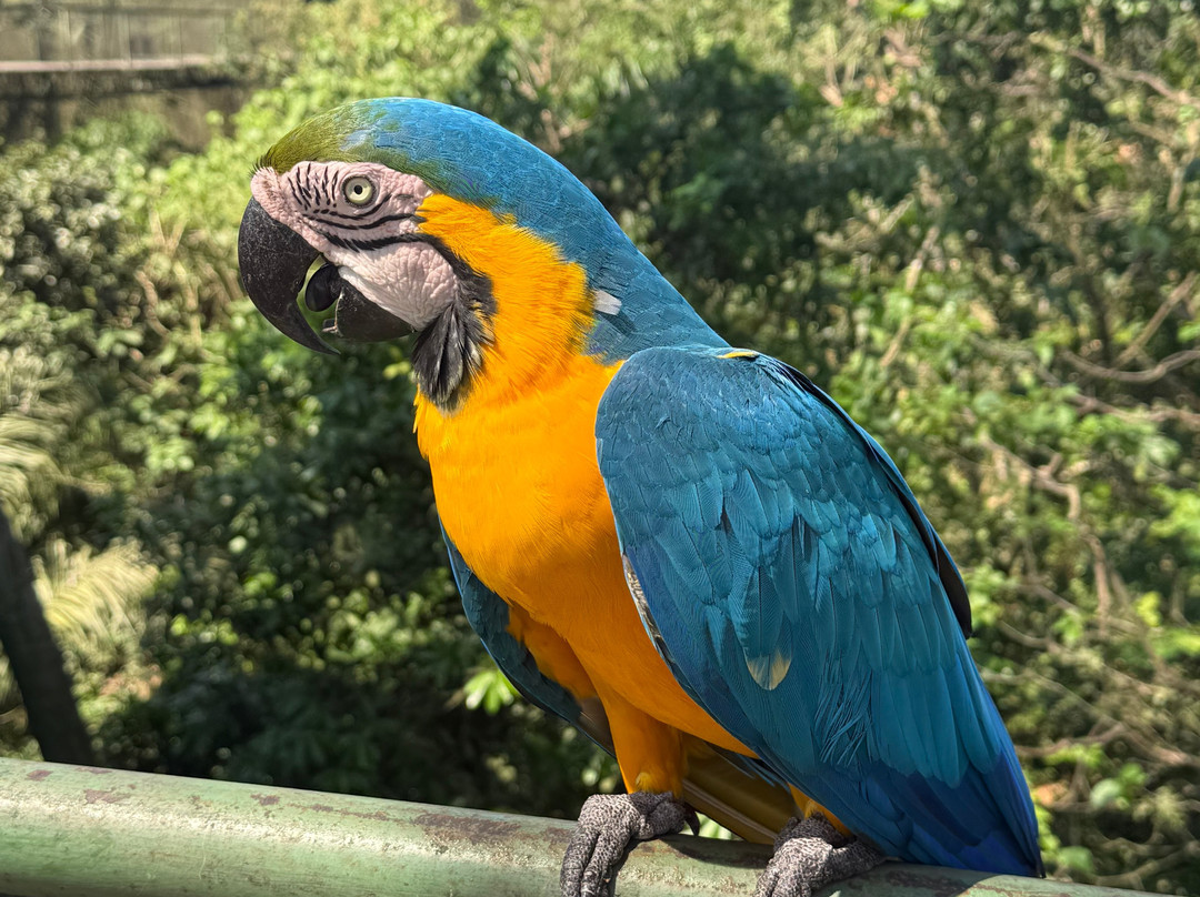 Biocentro Güembé-圣克鲁斯省必去景点