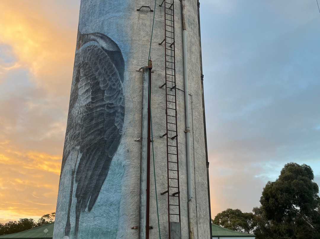 Lismore Water Tower Art-Lismore必去景点