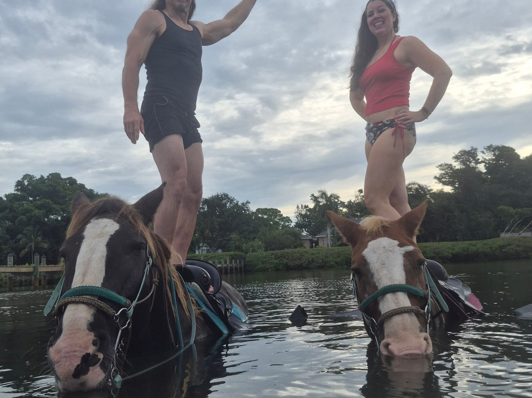Florida Beach Horses-布雷登顿必去景点