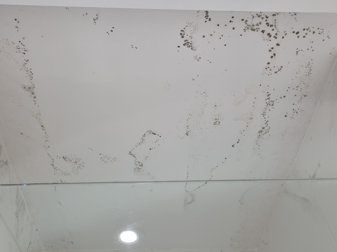 雷斯迪家瓦勒欧洲酒店主图