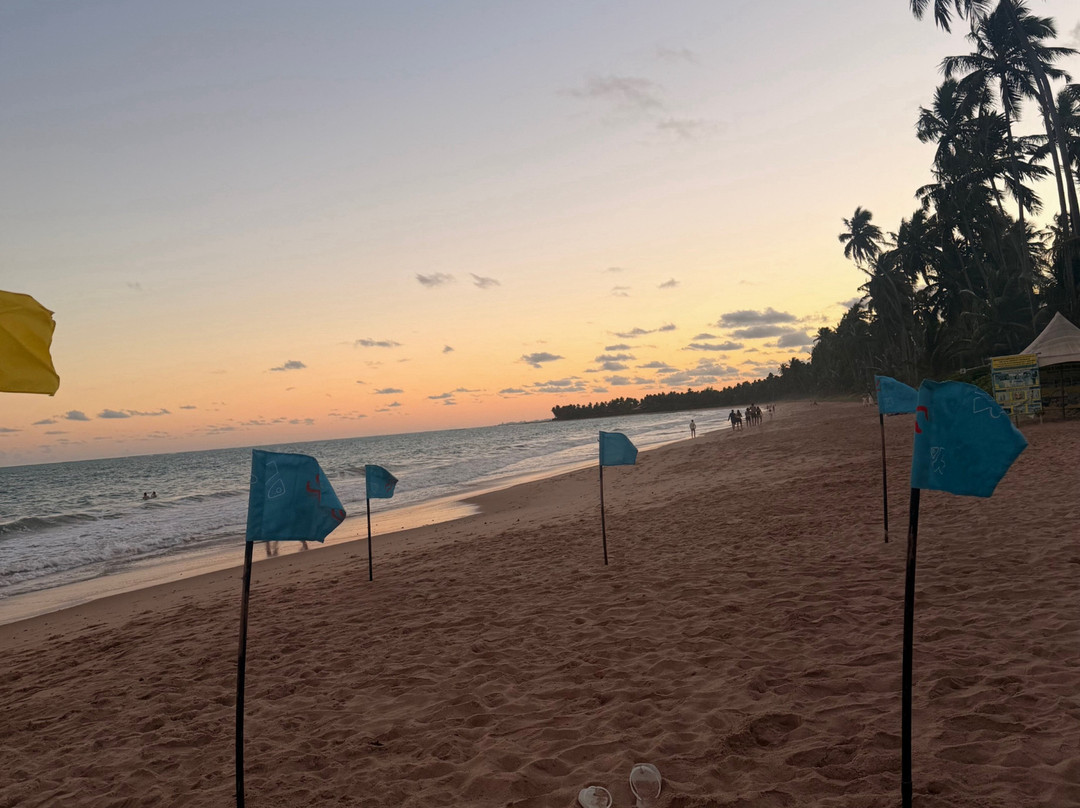 Maceió Mar Resort All Inclusive主图