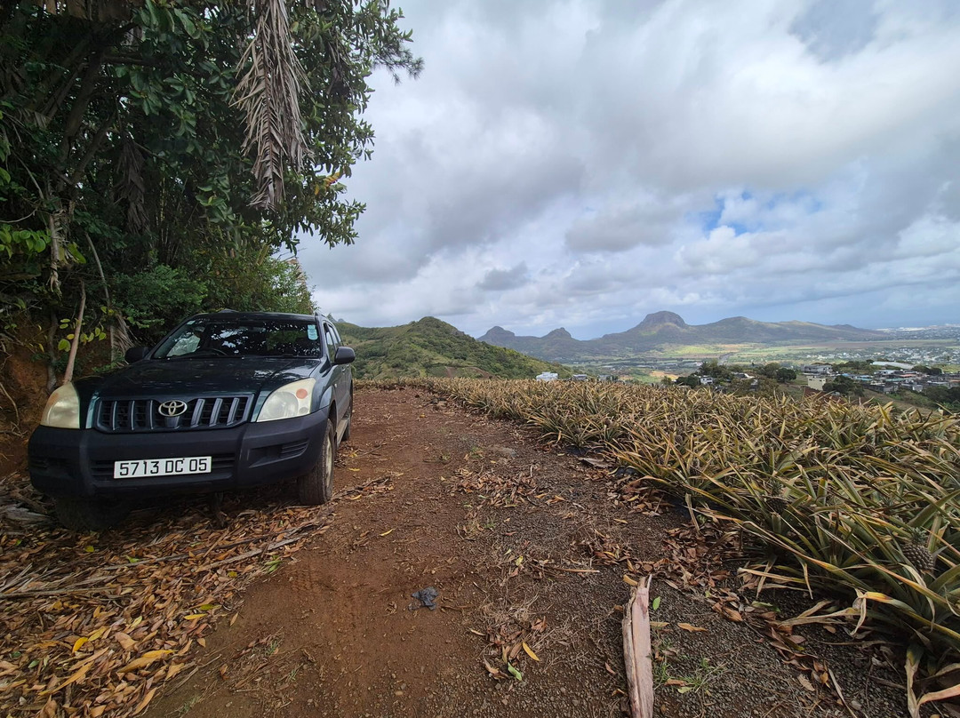 Nature Trails Mauritius-卡特勒博尔纳必去景点