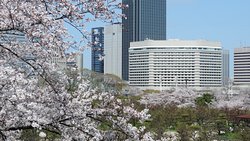 大阪新大谷酒店-官方