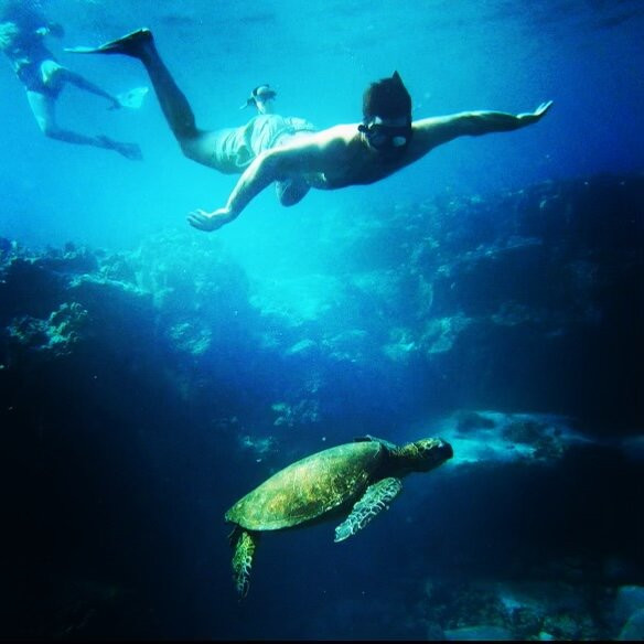 Hawai'i Surf and Kayak-普阿克必去景点