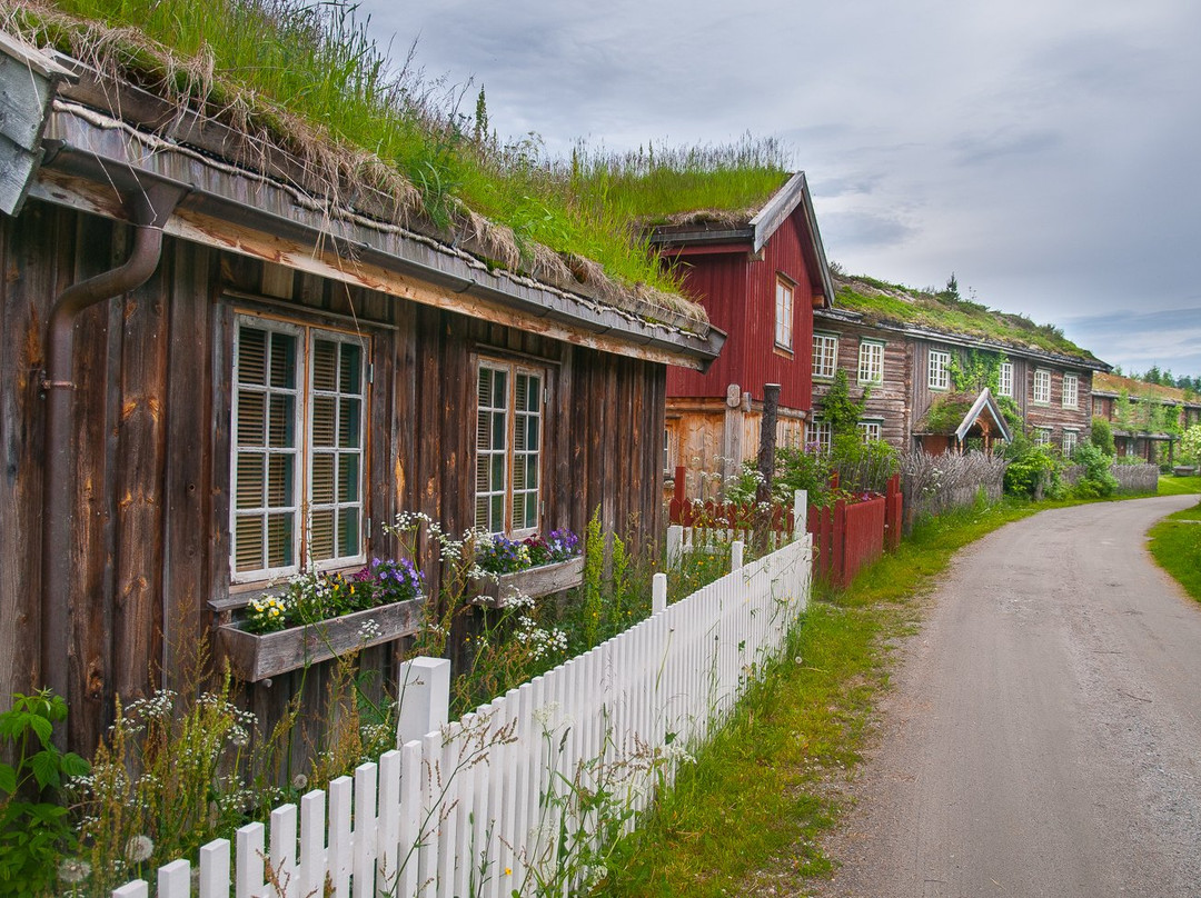 Todalen旅游攻略图片