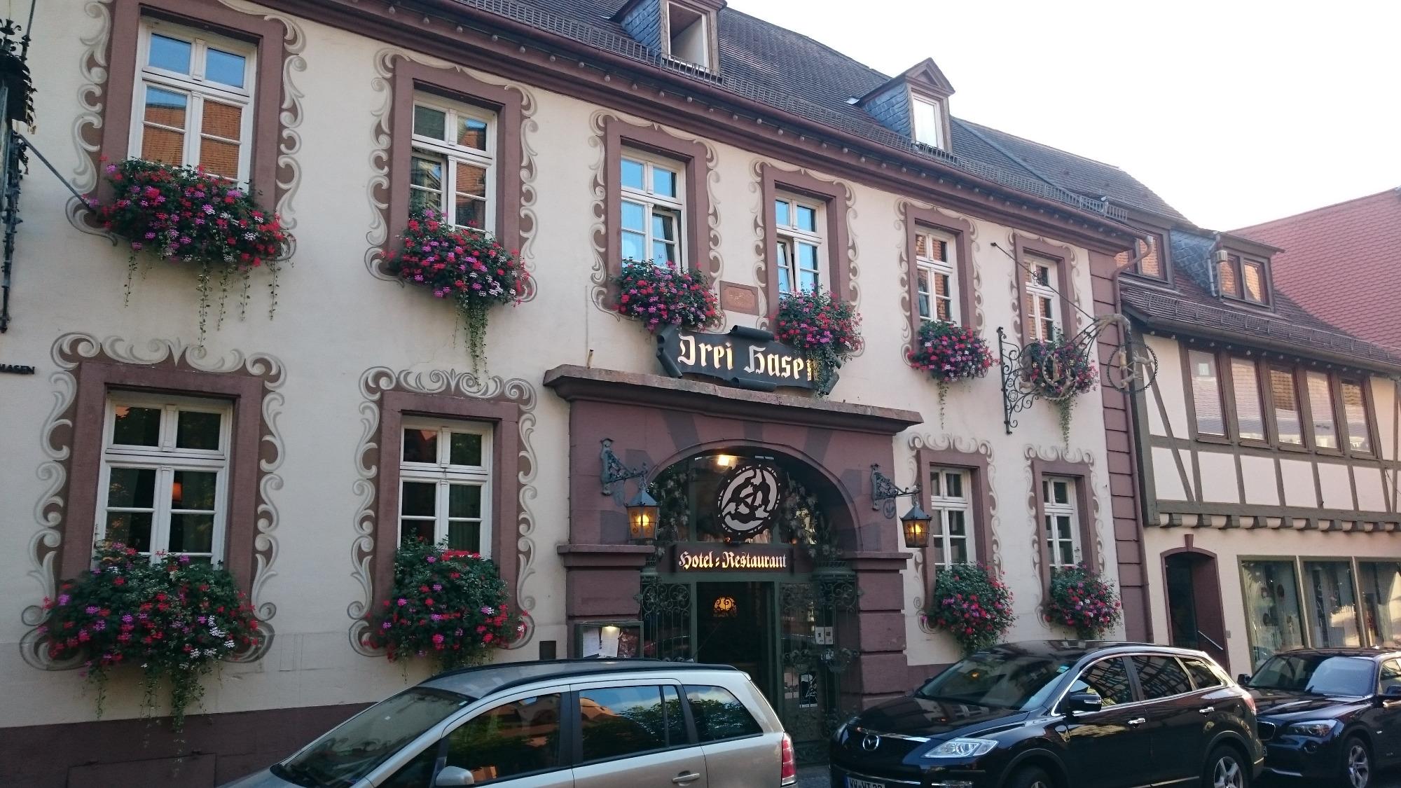 Hotel Restaurant Drei Hasen-客卧