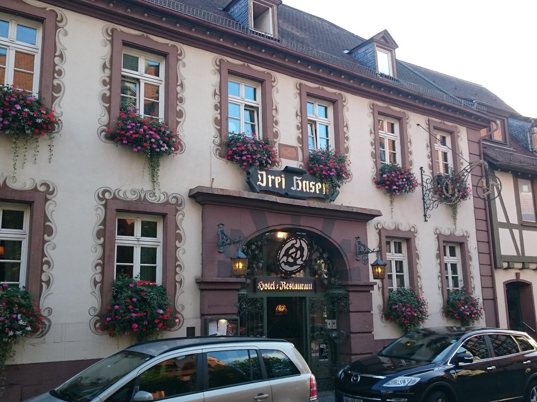 Erbach酒店住宿-Hotel Restaurant Drei Hasen