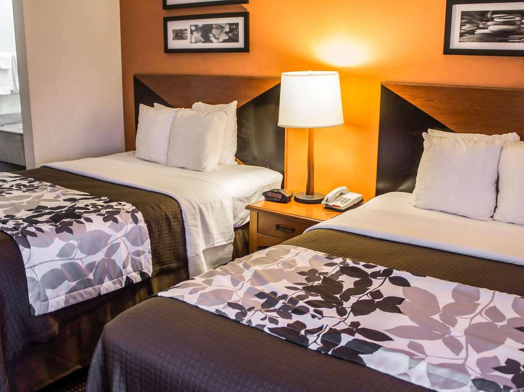 司丽普酒店主图