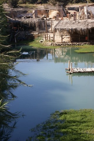 Mantantial La Maquina Palpa