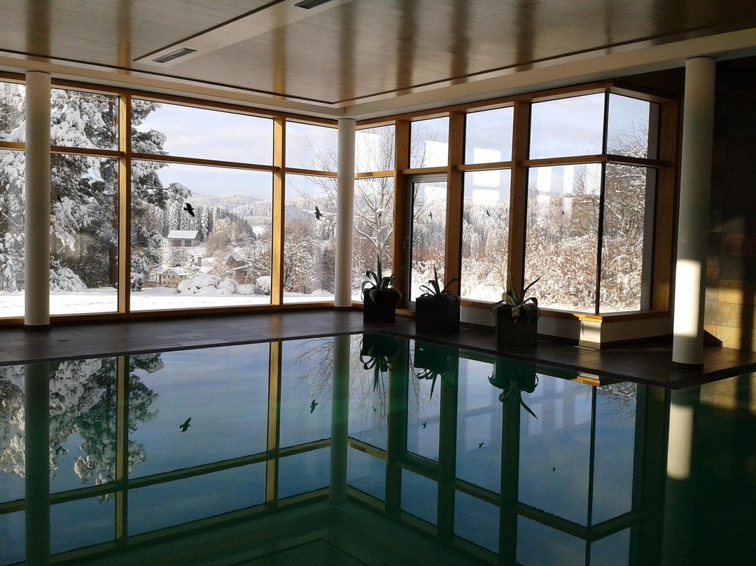 Arbesbach酒店住宿-Gesundheitshotel Klosterberg