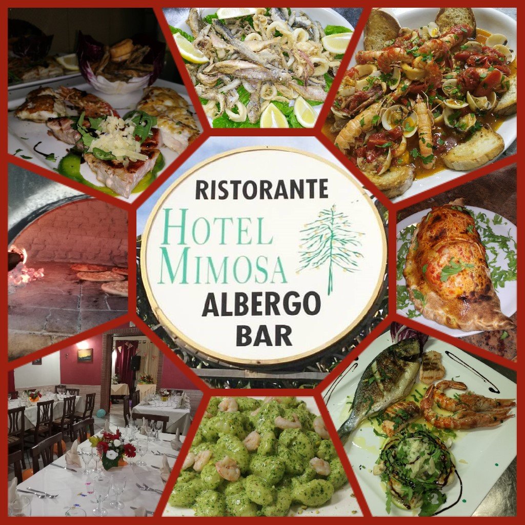 La Mimosa-官方