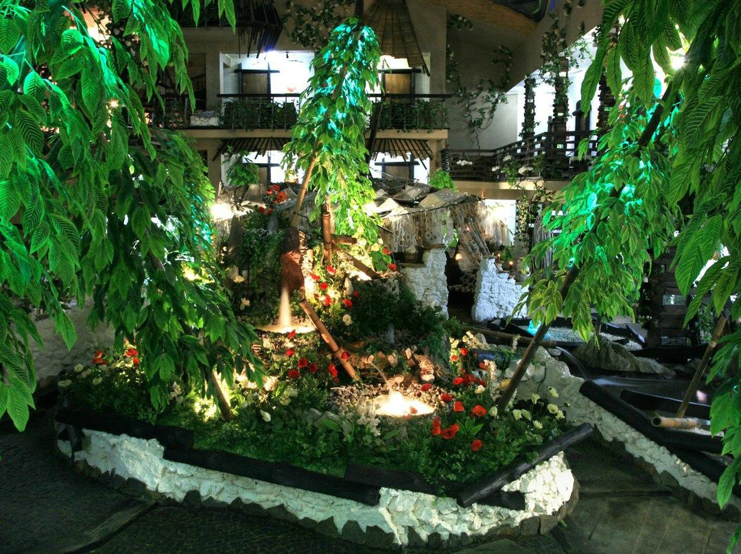 Boryslav酒店住宿-Higina Spa