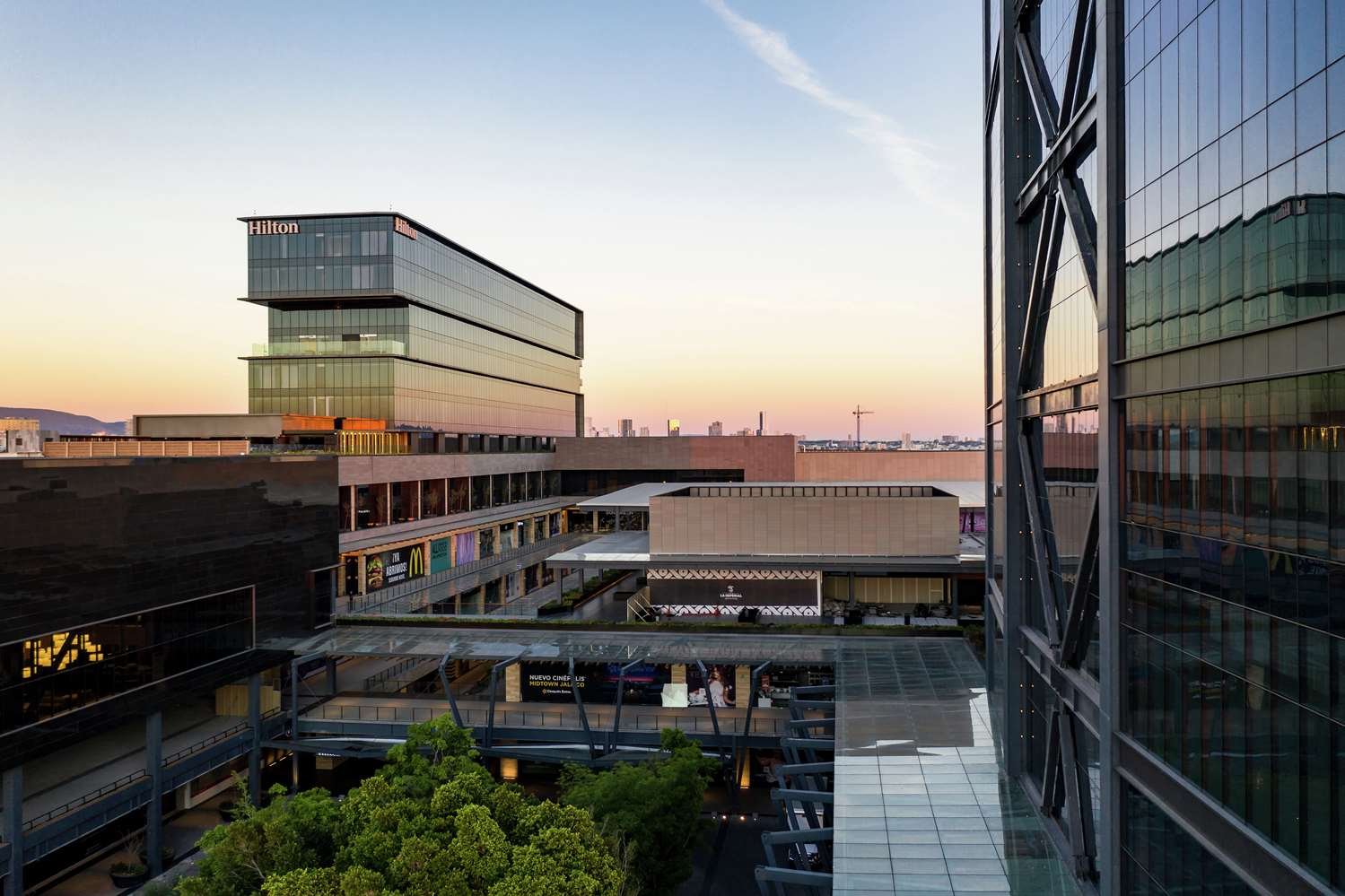Hilton Guadalajara Midtown-官方
